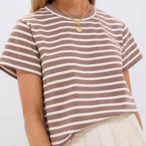 Tuckernuck Mocha Stripe Parker Classic Tee Boxy Crop Fit Size XL